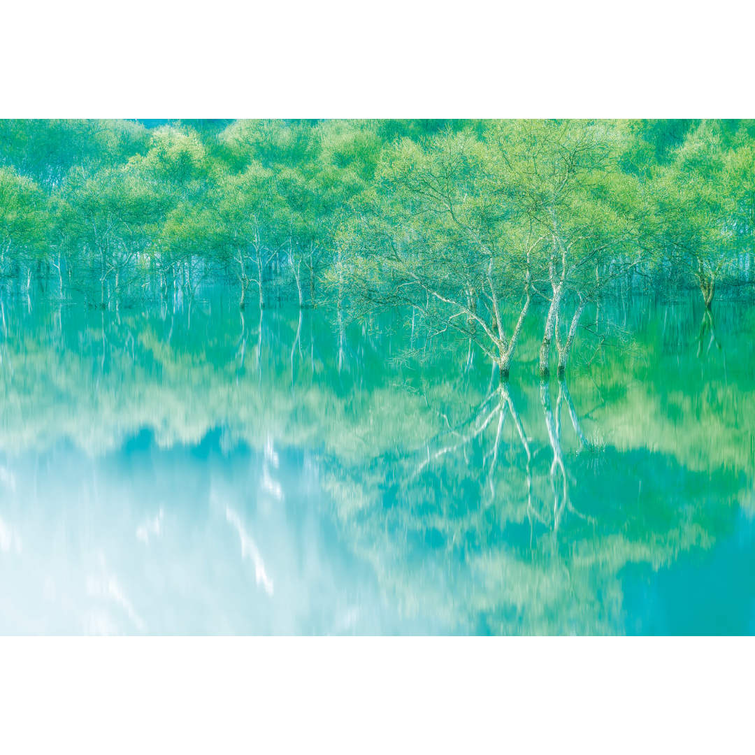 Mugen -: Jiro Yabusaki