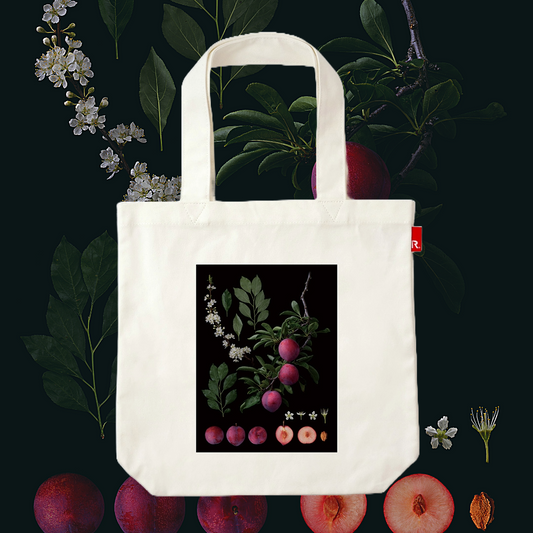 Masumi Shiohara × ROOTOTE / Prunus salicinca Lindl. 'Shiho' / 10805