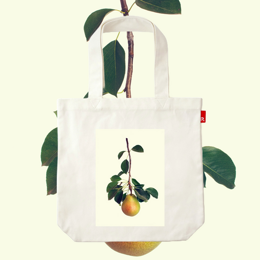 Masumi Shiohara × ROOTOTE / Pyrus communis L. 'Chapin' / 10802