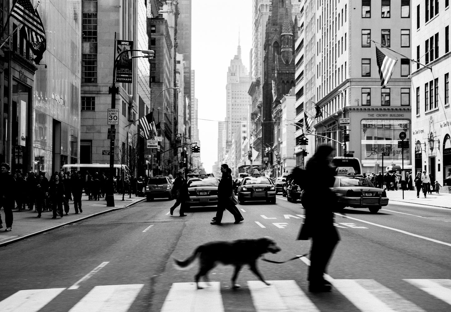 Shuichi Maiyama / 2018 A MOMENT #001 NewYork 2009 / 11205