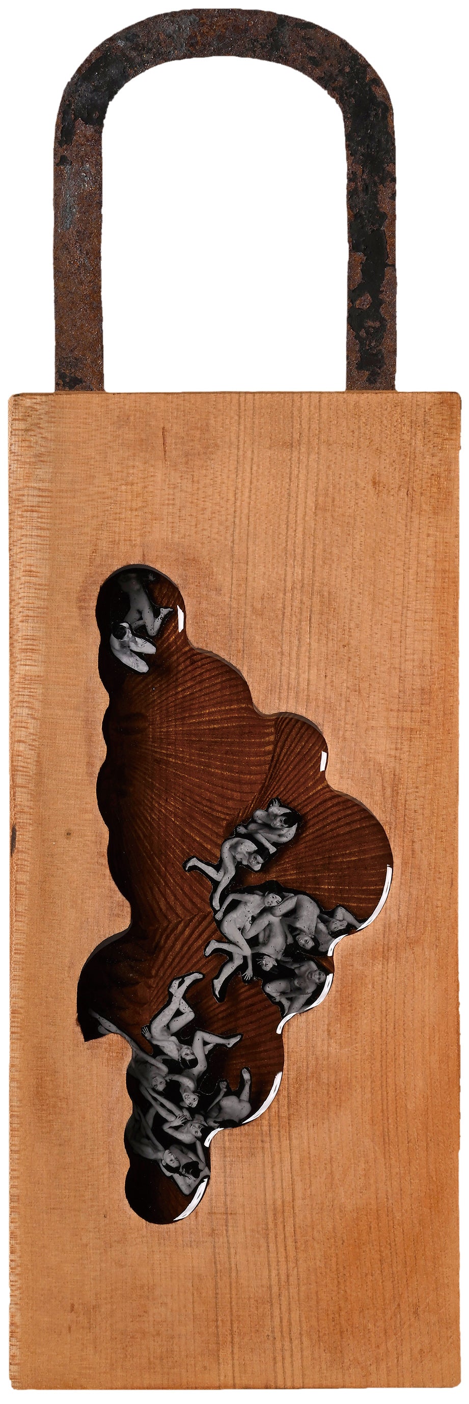Yuji Susaki / Bird's-eye view with sweets mold of the pine / 012603
