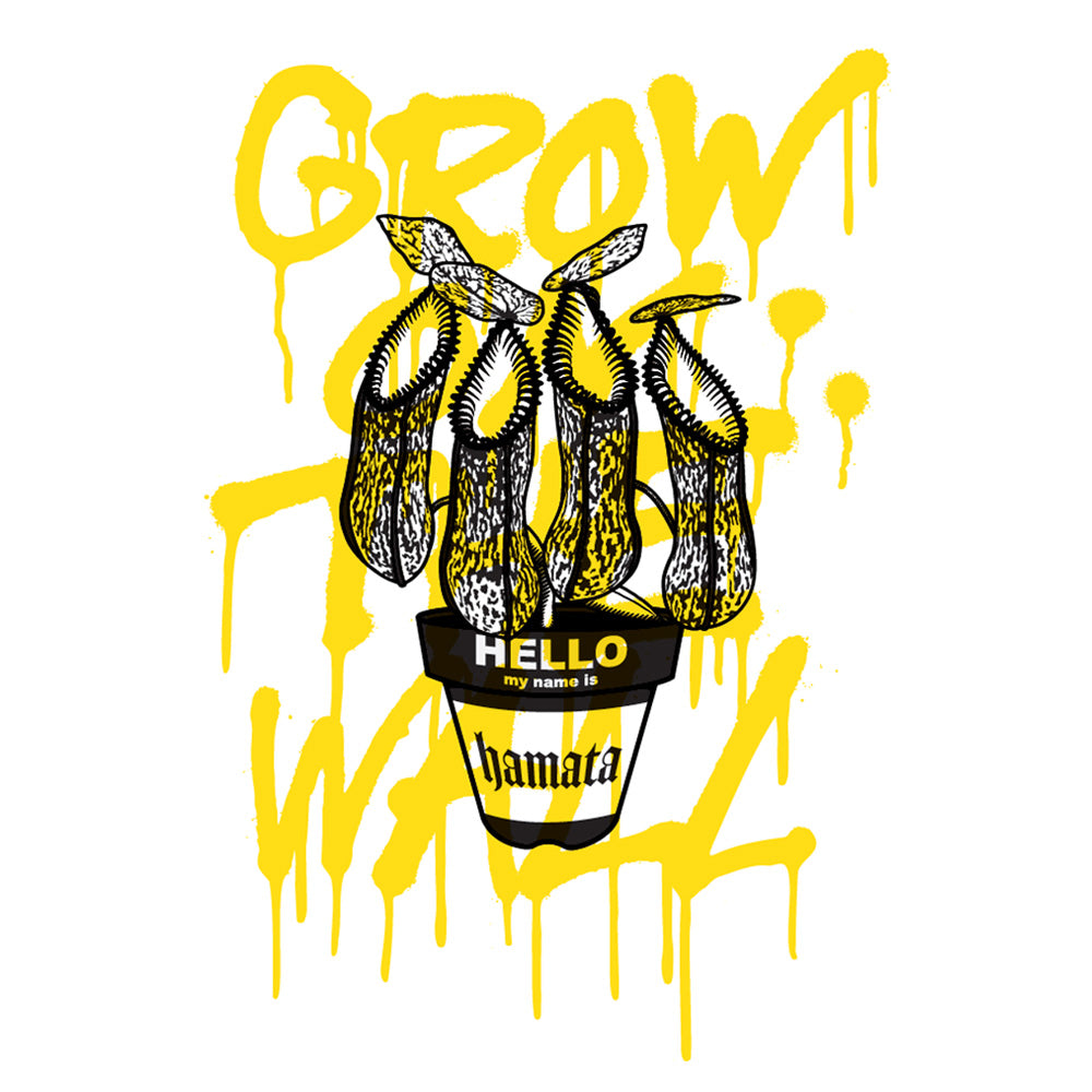 GIRUVI / GROW ON THE WALL "hamata" / 033903