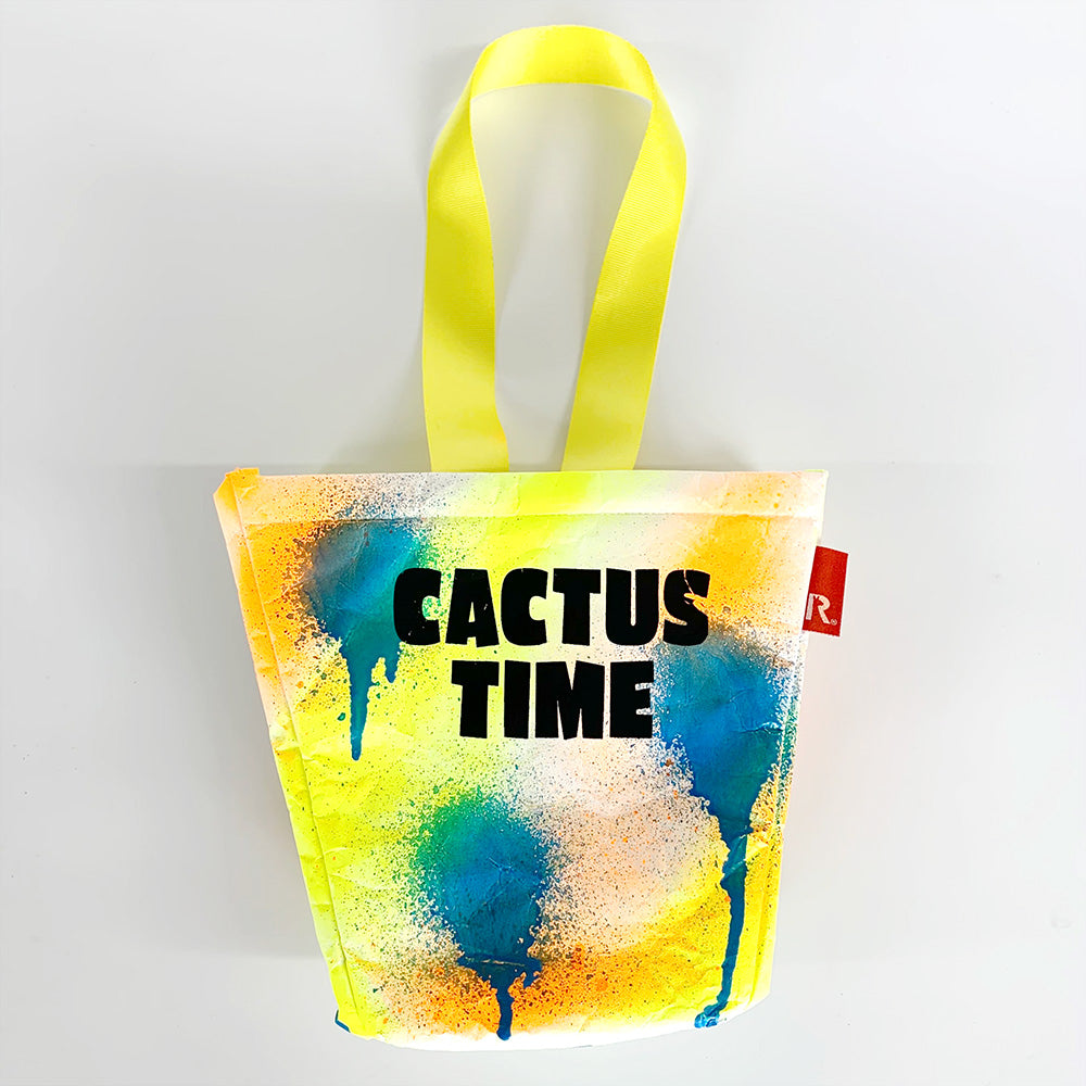 GIRUVI / PLANTA "CACTAS TIME" / 087105