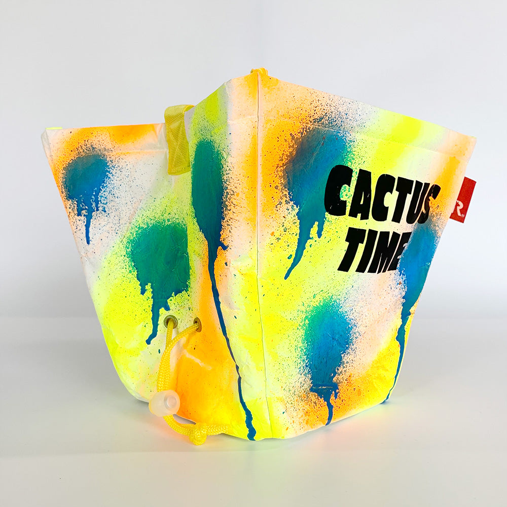 GIRUVI / PLANTA "CACTAS TIME" / 087105