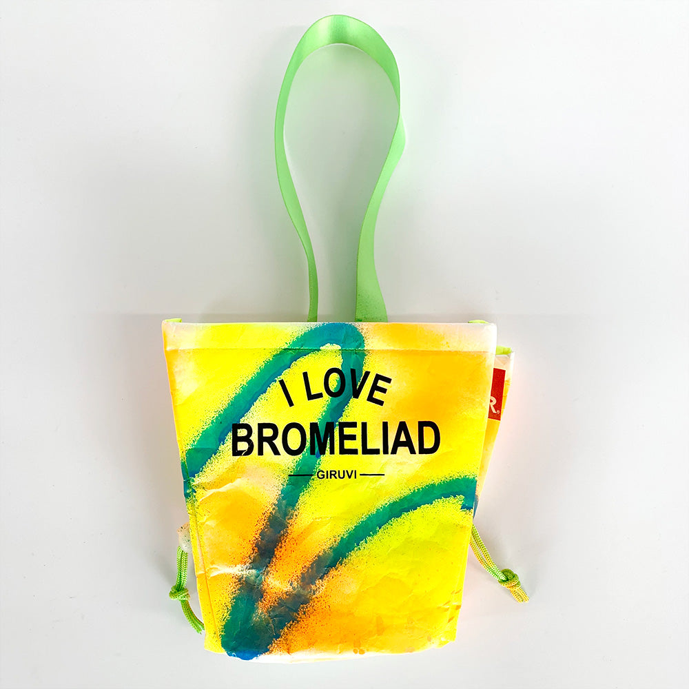 GIRUVI / PLANTA "I LOVE BROMELIAD" / 087106