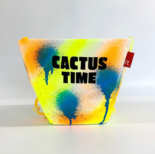 GIRUVI / PLANTA "CACTAS TIME" / 087105