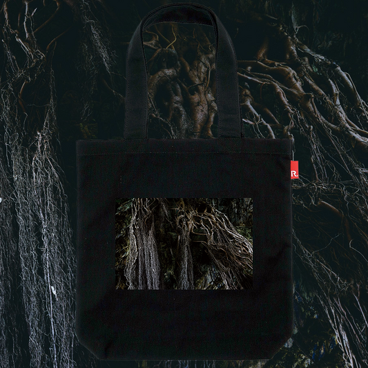 Toru Tanno / †New Dawn Fades / 012404