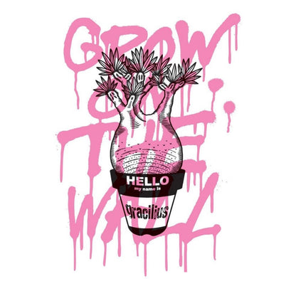 GIRUVI / GROW ON THE WALL "gracilius" / 033901