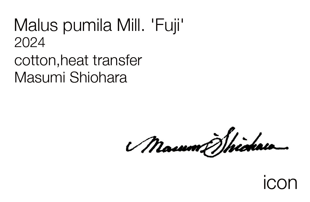 Masumi Shiohara × ROOTOTE /  Malus pumila Mill. 'Fuji' / 10803