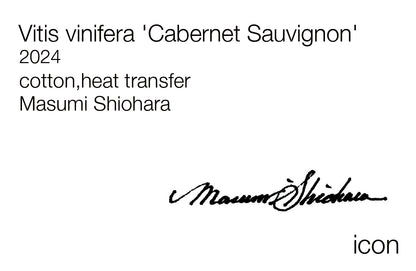 Masumi Shiohara × ROOTOTE / Vitis vinifera 'Cabernet Sauvignon' / 10804