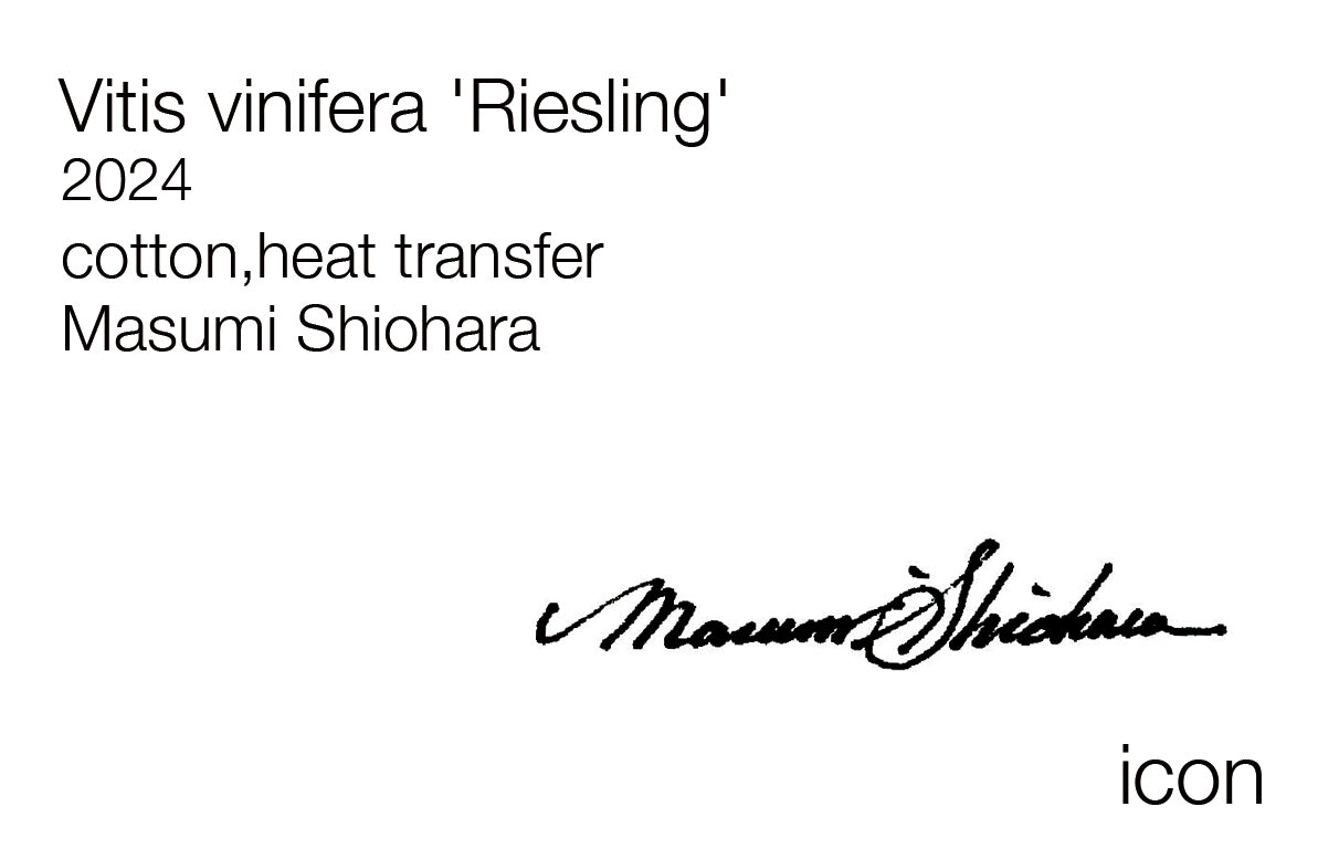 Masumi Shiohara × ROOTOTE / Vitis vinifera 'Riesling' / 10806