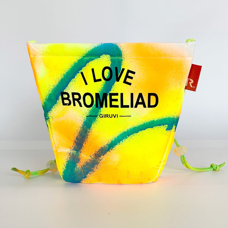 GIRUVI / PLANTA "I LOVE BROMELIAD" / 087106
