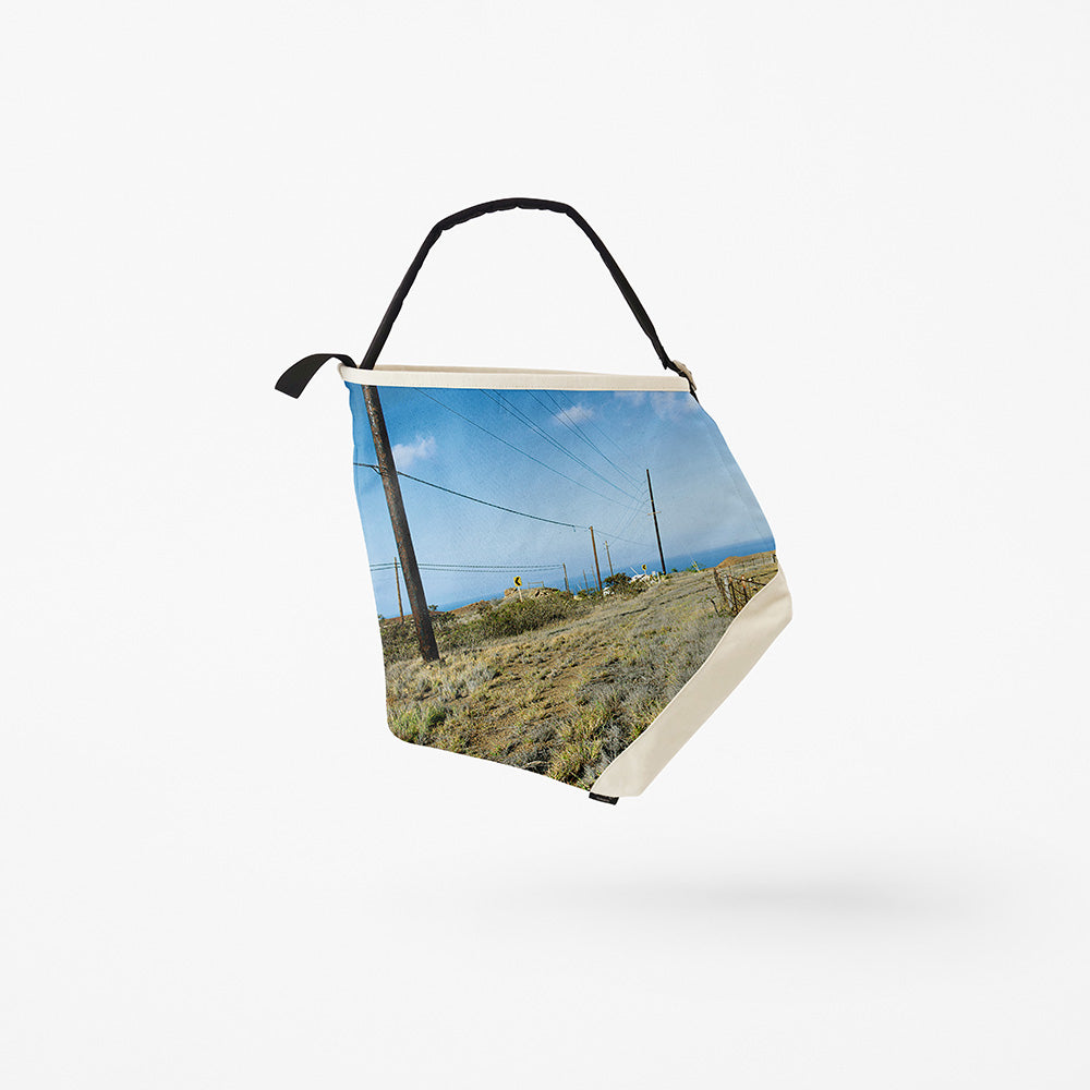 Shingo Wakagi × ROOTOTE / ruck-tote "HAWAII" Sky&amp;Ground / 042502